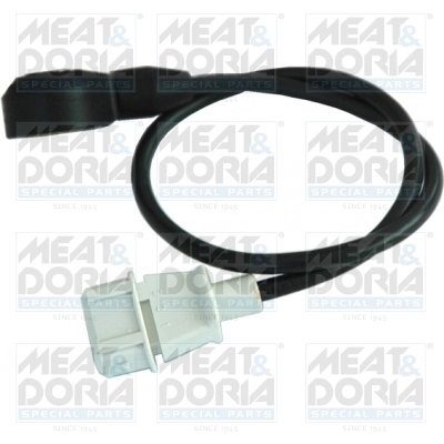 Knock Sensor